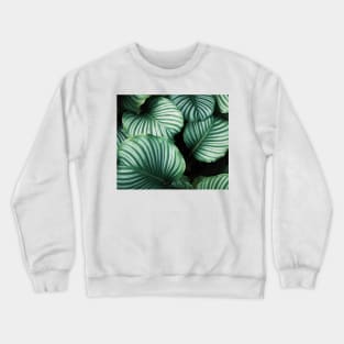 Luscious ferns II Crewneck Sweatshirt